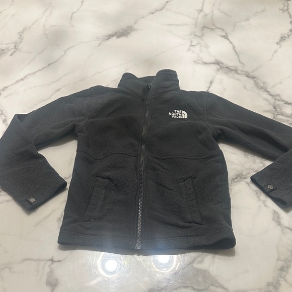 The North Face Other - The North Face Charcoal Fleece Jacket